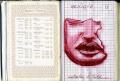 Masque